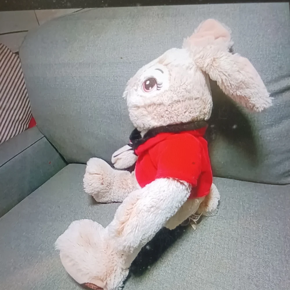 Peter Rabbit plush - Picture 2 of 5